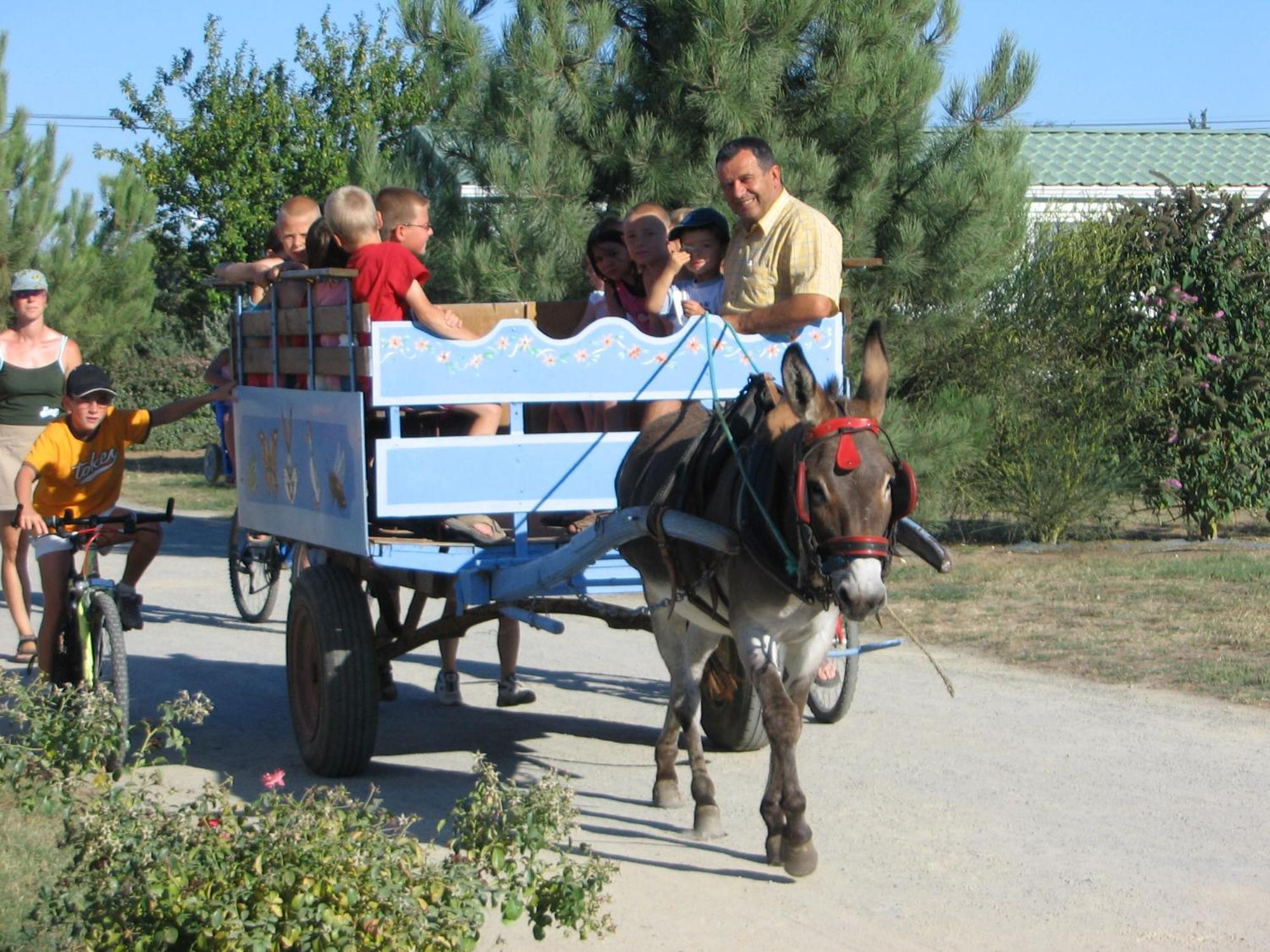 Camping Le Ragis Challans Kültér fotó